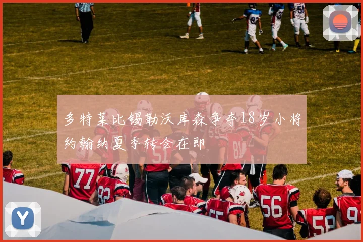 多特莱比锡勒沃库森争夺18岁小将约翰纳夏季转会在即